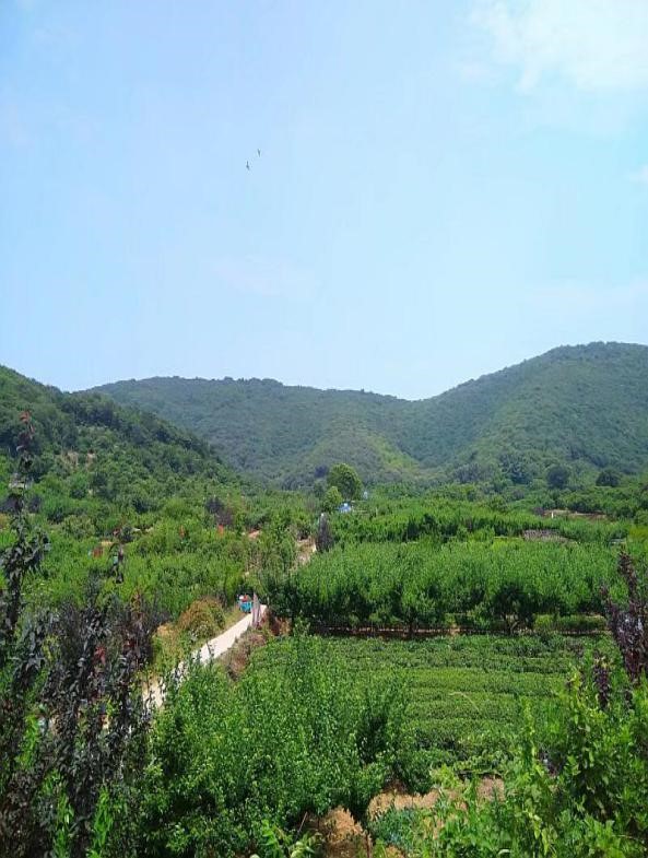 自動(dòng)化檢測(cè)設(shè)備廠家軍嶂古道