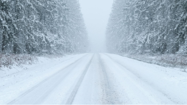 為國內中小企業(yè)抗風險能力提升而點贊